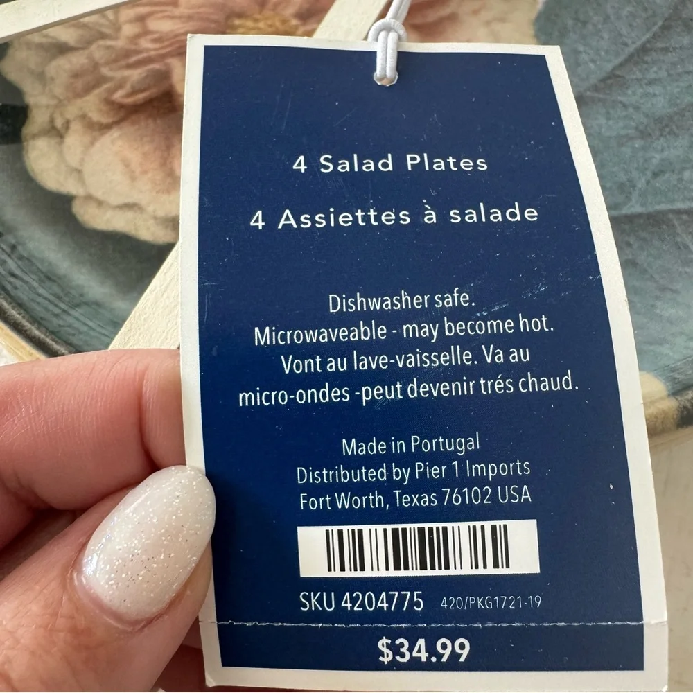 Pier 1 Imports Moody‎ Blooms NWT Set of 4 Salad Plates Floral Ceramic Plate